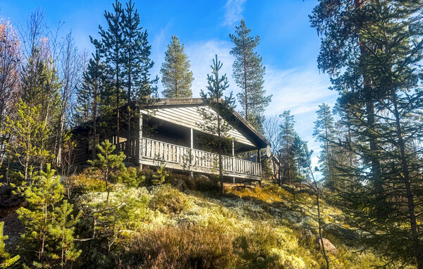Ferienhaus - Ljørdalen/Trysil , Norwegen - N30284 1