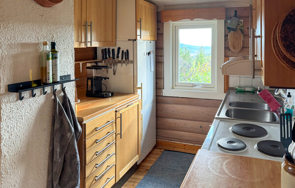 Ferienhaus - Ljørdal/Trysil , Norwegen - N30287 6