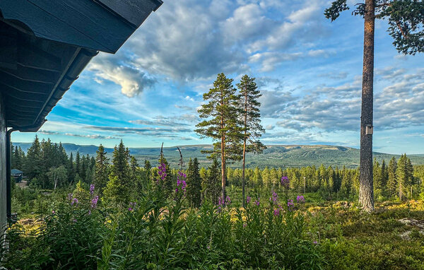 Ferienhaus - Ljørdal/Trysil , Norwegen - N30287 8