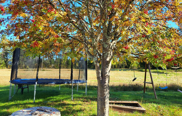 Apartment - Braskereidfoss , Norway - N30290 102