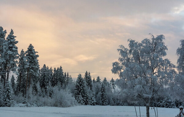Apartment - Braskereidfoss , Norway - N30290 103