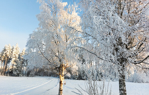 Apartment - Braskereidfoss , Norway - N30291 902