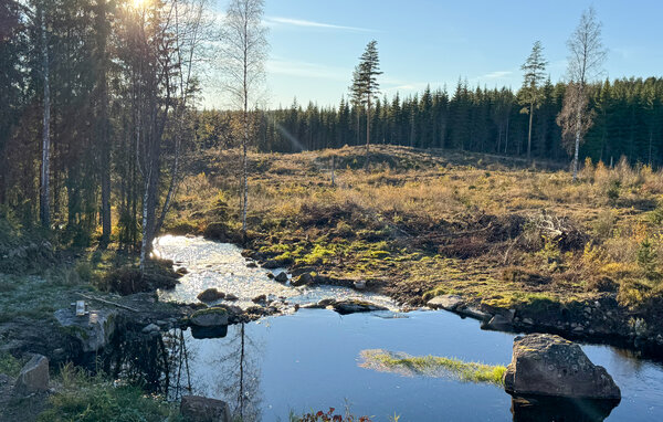 Feriehus - Austmarka , Norge - N30292 202