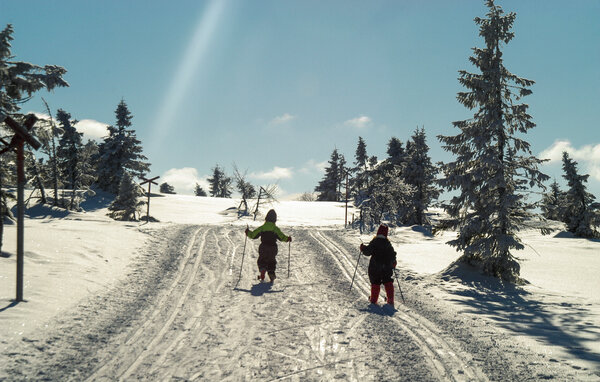 Semesterhus - Trysil , Norge - N30294 903