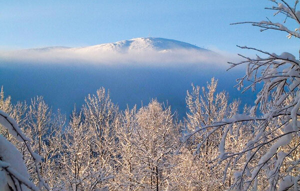 Semesterhus - Trysil , Norge - N30294 907