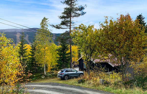 Semesterhus - Trysil , Norge - N30294 201