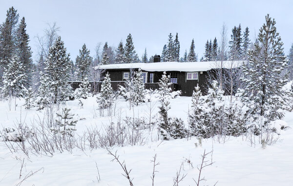 Vakantiehuis - Engerdal , Noorwegen - N30297 81