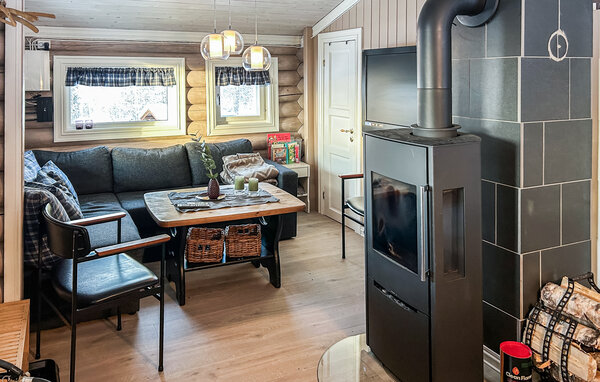 Domy wakacyjne - Nybergsund/Trysil , Norwegia - N30298 3