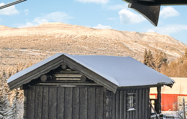 Domy wakacyjne - Nybergsund/Trysil , Norwegia - N30298 201