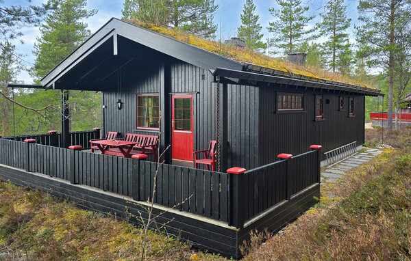 Ferienhaus - Renåfjellet/Rendalen , Norwegen - N30299 1