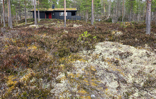 Ferienhaus - Renåfjellet/Rendalen , Norwegen - N30299 6