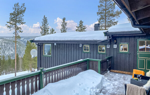 Kuća-za-odmor - Renåfjellet, Rendalen , Norveska - N30305 2