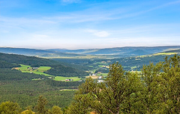 Domy wakacyjne - Os i Østerdalen , Norwegia - N30310 901