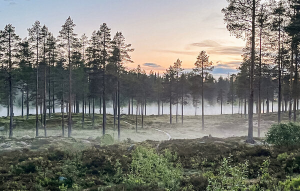 Feriehus - Ljørdal/ Trysil , Norge - N30318 902