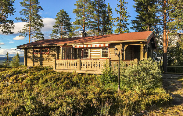 Feriehus - Ljørdal/ Trysil , Norge - N30318 82