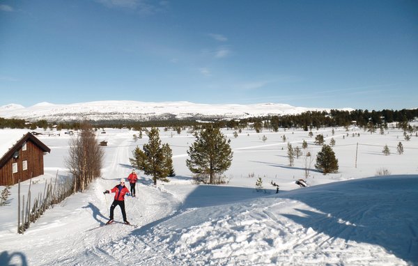 Feriehus - Rondane/Nord-Fron , Norge - N31329 901