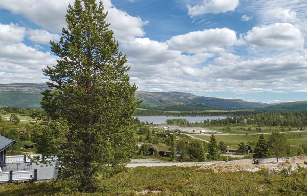 Feriehus - Rondane/Nord-Fron , Norge - N31329 201