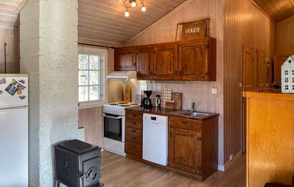 Ferienhaus - Bjorli , Norwegen - N31342 6