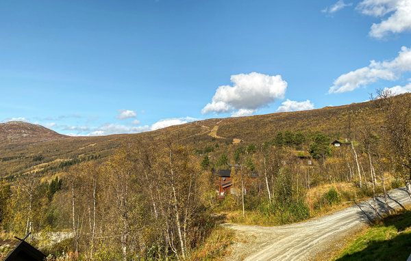 Ferienhaus - Bjorli , Norwegen - N31344 201