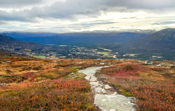 Feriehus - Bjorli , Norge - N31349 903