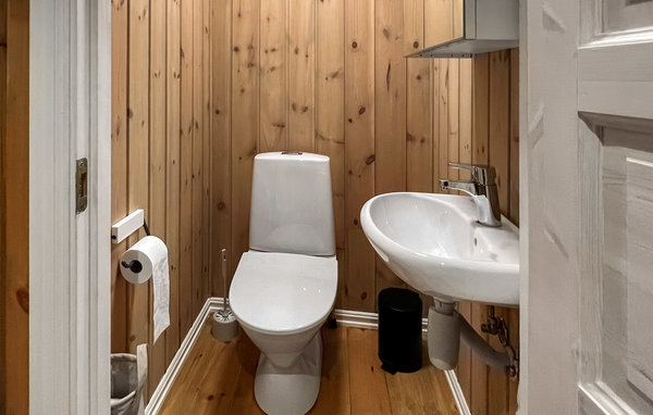 Holiday Home - Bjorli , Norway - N31356 703