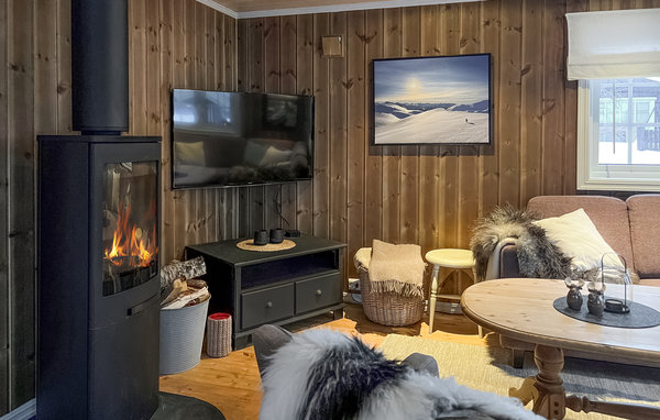 Holiday Home - Bjorli , Norway - N31356 4