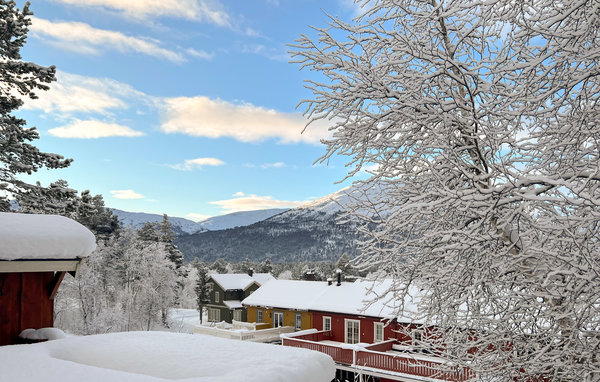 Holiday Home - Bjorli , Norway - N31356 201