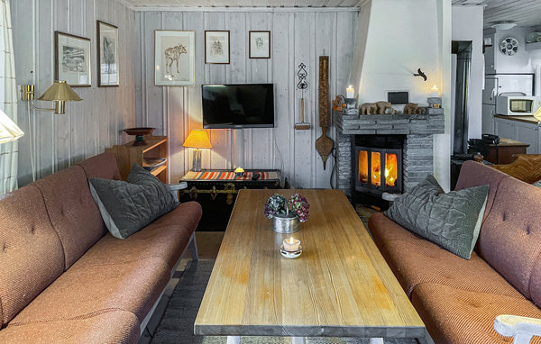 Holiday Home - Vinstra/Nord-Fron , Norway - N31369 3