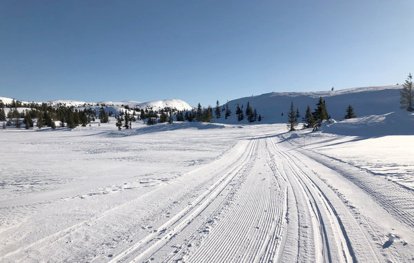 Ferienhaus - Valdres , Norwegen - N31378 902
