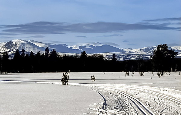 Appartamento - Tisleidalen , Norvegia - N31380 101