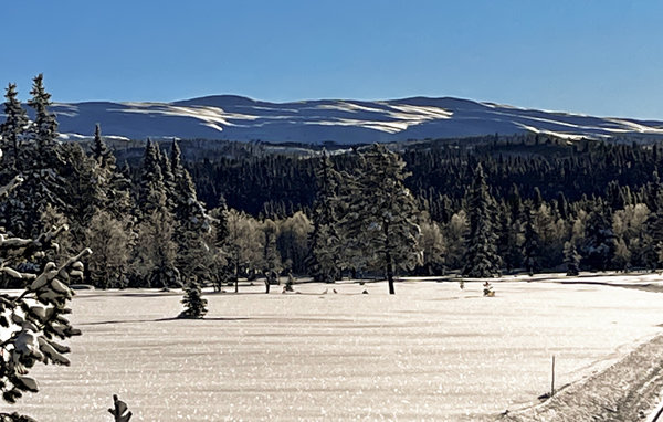 Appartamento - Tisleidalen , Norvegia - N31380 102