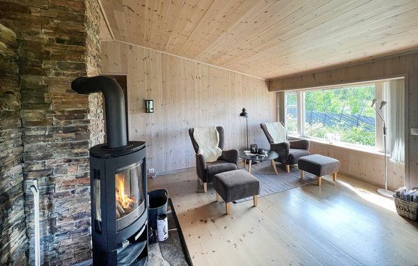 Domy wakacyjne - Synnfjell/Nord-Torpa , Norwegia - N31383 4