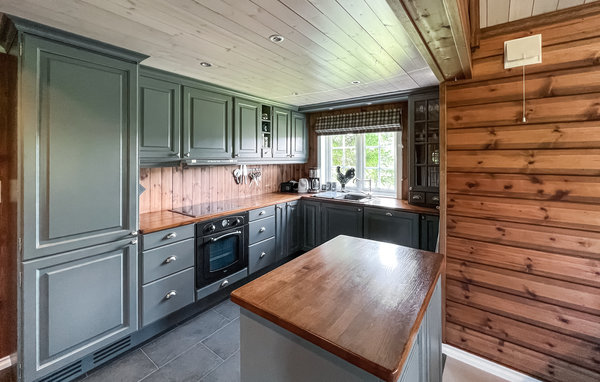 Casa de vacaciones - Synnfjell/Nord-Torpa , Noruega - N31389 5
