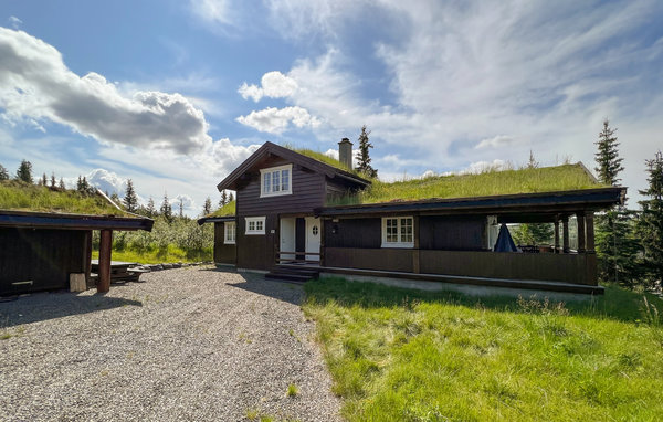 Holiday Home - Synnfjell/Nord-Torpa , Norway - N31389 1
