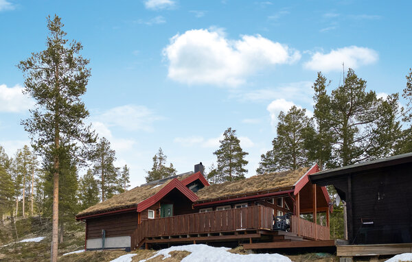 Ferienhaus - Lesjaverk , Norwegen - N31391 1