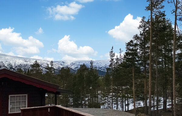 Ferienhaus - Lesjaverk , Norwegen - N31391 2