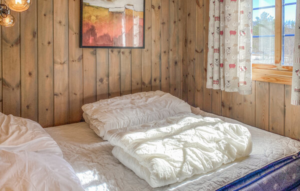 Kuća-za-odmor - Bjorli , Norveska - N31401 601