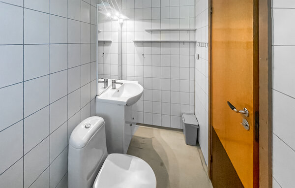 Ferienwohnung - Dovre , Norwegen - N31403 6