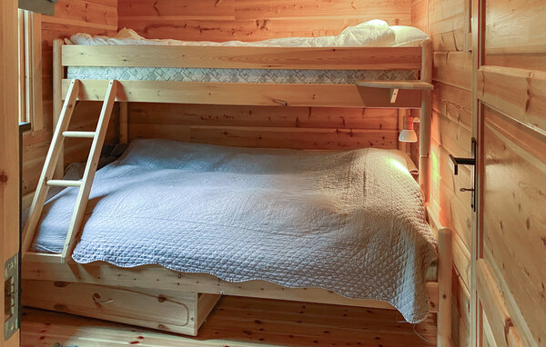 Kuća-za-odmor - Bjorli , Norveska - N31408 603