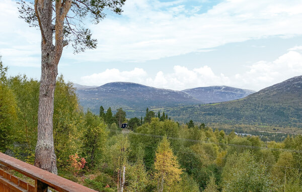 Kuća-za-odmor - Bjorli , Norveska - N31408 201