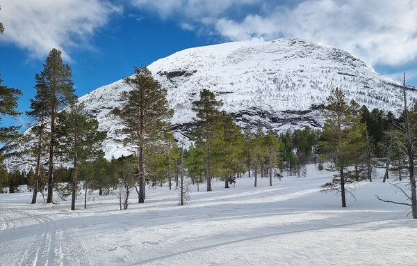 Feriehus - Bjorli , Norge - N31411 905