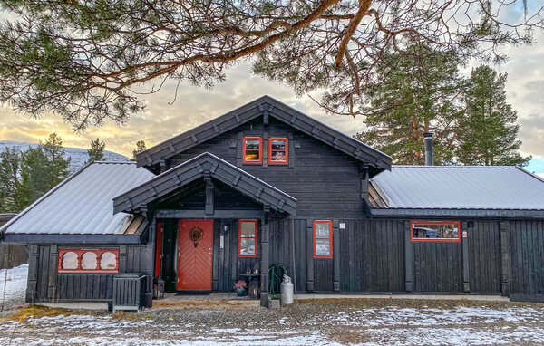 Feriehus - Bjorli , Norge - N31411 2
