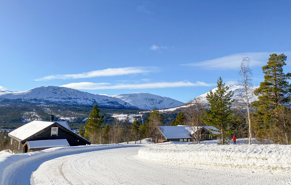 Feriehus - Bjorli , Norge - N31413 201