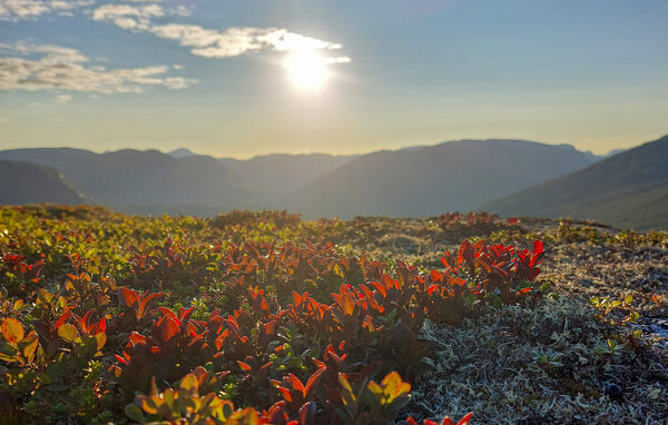 Feriehus - Bjorli , Norge - N31414 904