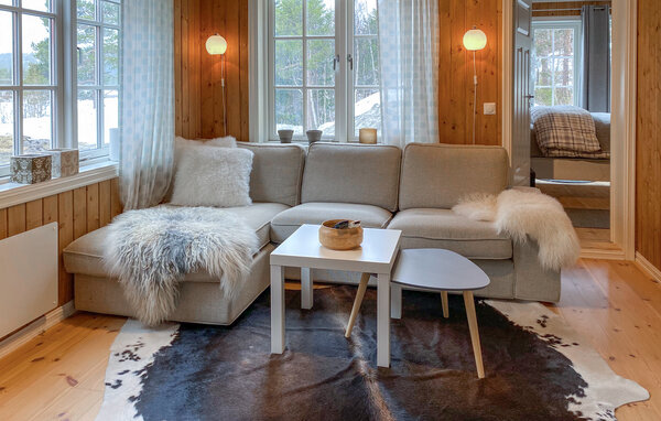 Casa vacanze - Bjorli , Norvegia - N31450 3