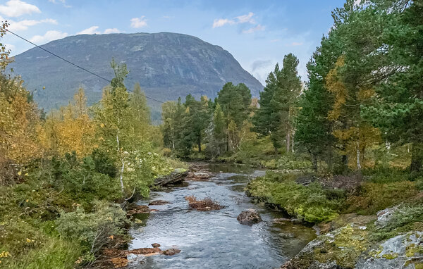 Semesterlägenhet - Bjorli , Norge - N31476 9