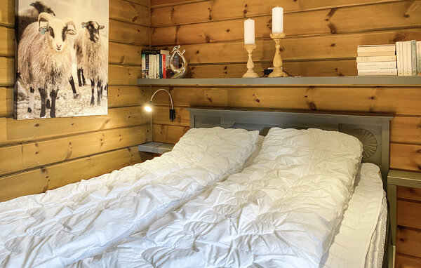 Kuća-za-odmor - Bjorli , Norveska - N31477 601