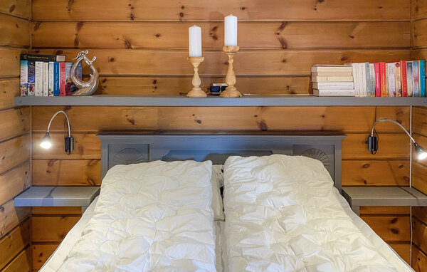 Kuća-za-odmor - Bjorli , Norveska - N31477 602