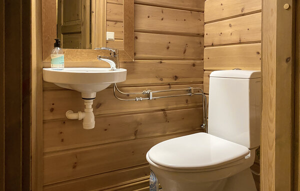 Kuća-za-odmor - Bjorli , Norveska - N31479 704