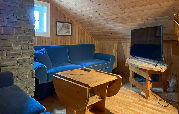 Kuća-za-odmor - Bjorli , Norveska - N31479 501